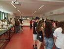 fq9convida 24